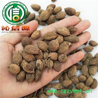 【满包邮】壳砂仁个子统货散装云南产地直供云南砂仁米沁信源中药批发图3