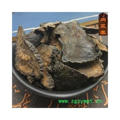 肉苁蓉 大云 大芸  油苁蓉 可搭锁阳淫羊藿巴戟天