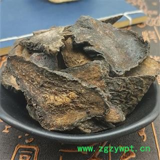 肉苁蓉 大云 大芸  油苁蓉 可搭锁阳淫羊藿巴戟天图2