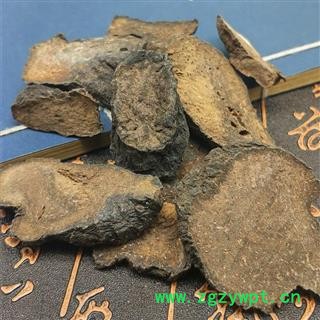 肉苁蓉 大云 大芸  油苁蓉 可搭锁阳淫羊藿巴戟天图4