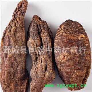 【大选硬肉苁蓉个】@【同欢药材】中药材批发供应  规格齐全 量大从优  产地 新疆维吾尔自治区图2