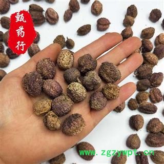 阳春砂仁 带壳砂仁 正品无假无硫选货 一手货源批发 产地广东 甄选药材行 为你真选好药材图3