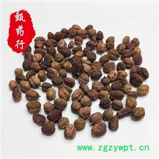 阳春砂仁 带壳砂仁 正品无假无硫选货 一手货源批发 产地广东 甄选药材行 为你真选好药材图2