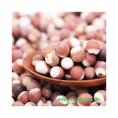 芡实 选装大个芡实1.0（10厘米） 产地 广东省 产地直销 重在质量