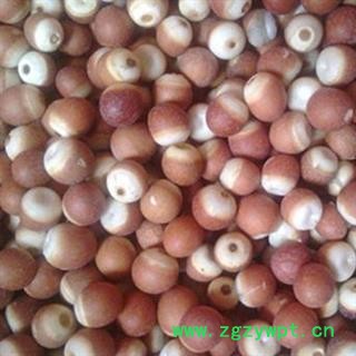 芡实 选装大个芡实1.0（10厘米） 产地 广东省 产地直销 重在质量图2