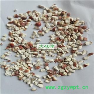 芡实 大46半 产地 广东省珠海市图2