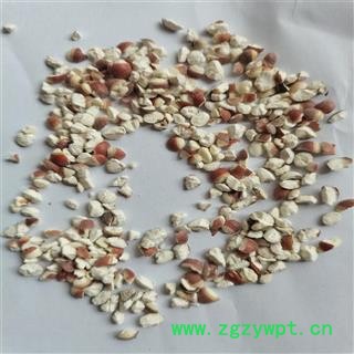 芡实 大46半 产地 广东省珠海市图3