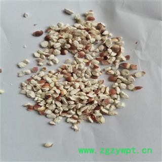 芡实 大46半 产地 广东省珠海市