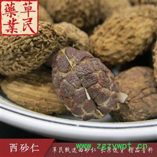 草民甄选西砂仁 缅甸壳砂 长果选货 精品香料 专业批发量大从优