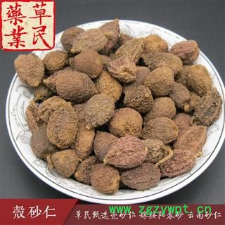 草民甄选壳砂仁 嫁接阳春砂 云南砂仁 含量达标 专业批发量大从优图4