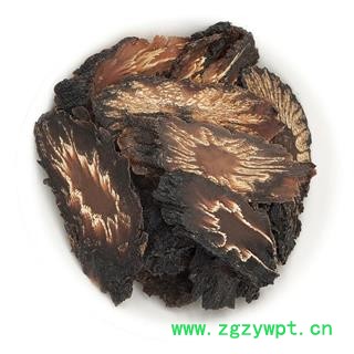 新疆肉苁蓉片190克罐装中药材批发肉苁蓉 大芸肉苁蓉 肉苁蓉片图2