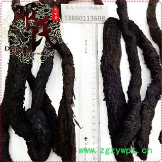 肉苁蓉 软质肉苁蓉 特级 选货 产地 新疆维吾尔自治区 邓氏尚品图4