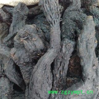 肉苁蓉 统 产地 新疆维吾尔自治区图3