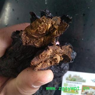 肉苁蓉 统 产地 新疆维吾尔自治区图2