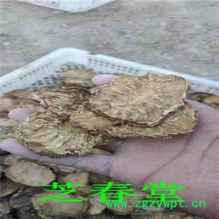 芝春堂 新疆荒漠肉苁蓉油性鲜干片 沙漠人参 软大芸 软肉苁蓉鲜切片干货图4