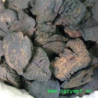 肉苁蓉 硬质大云片 产地 新疆维吾尔自治区图2