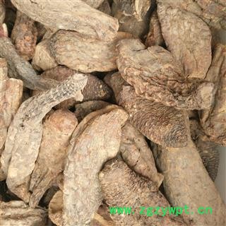 肉苁蓉 硬质 大云  个子 产地 新疆维吾尔自治区图3