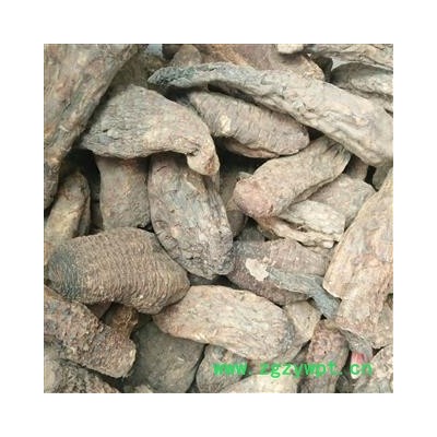 肉苁蓉 硬质 大云  个子 产地 新疆维吾尔自治区