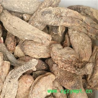 肉苁蓉 硬质 大云  个子 产地 新疆维吾尔自治区图2