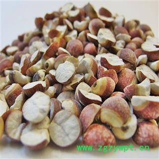 芡实瓣  芡实米   统货 产地 广东省图2