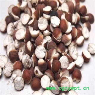 芡实瓣  芡实米   统货 产地 广东省