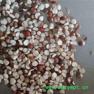 芡实 芡实对瓣0.5 产地 广东省图2