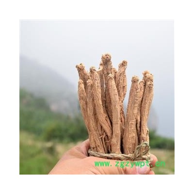 党参 新货 山西道地药材潞党参特级中条 直径0.6cm-0.8cm 3年生上党参本色无硫 合作社直销