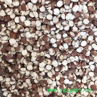 芡实 芡实对掰开 0.9mm 产地 广东省 买好药找娟子 专业批发图2