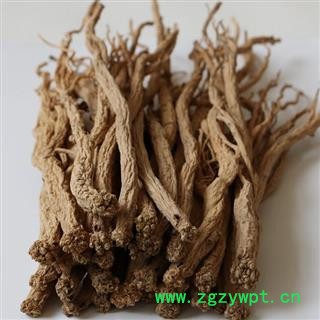 无硫党参个 党参个子 货干 甘肃产地直销 货好价优 产地 甘肃省图2