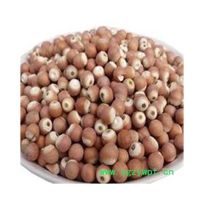 芡实 芡实0.9 道地良药 含量充足 买货认准福康万家 产地 广东省