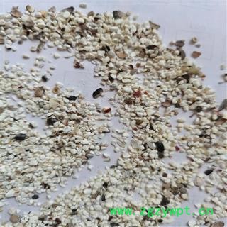 芡实 碎渣 产地 广东省佛山市