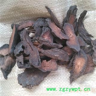 肉苁蓉 统  产地 新疆维吾尔自治区图2