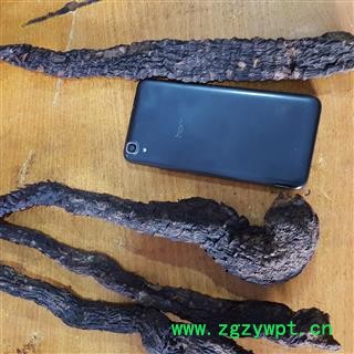 圣草康园 肉苁蓉 大选新疆软质肉苁蓉 不老草 整条肉苁蓉 大芸沙漠人参选货