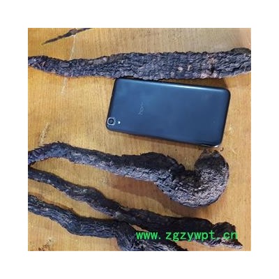 圣草康园 肉苁蓉 大选新疆软质肉苁蓉 不老草 整条肉苁蓉 大芸沙漠人参选货
