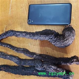 圣草康园 肉苁蓉 大选新疆软质肉苁蓉 不老草 整条肉苁蓉 大芸沙漠人参选货图2