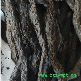 肉苁蓉个  大条 软大云个 地道药材产地 新疆维吾尔自治区图2