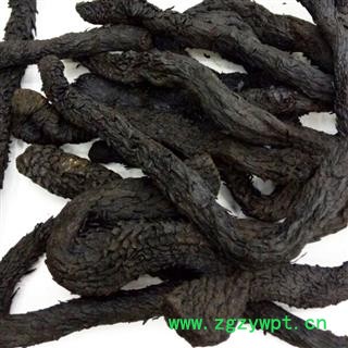 吉康药业肉苁蓉软大云各种规格图3