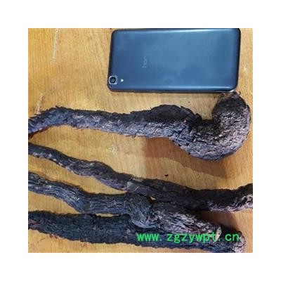 吉康药业肉苁蓉软大云各种规格