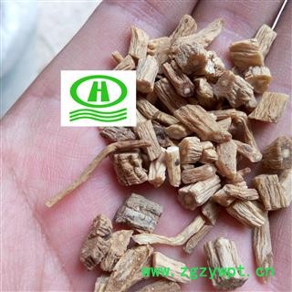 世元药业 党参 经济实惠 黄参 防党参 上党参 狮头参 中灵草 黄党图2