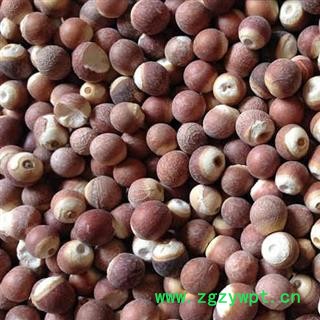 芡实 芡实12-13mm选货 产地 广东省肇庆市德庆县 买好药找娟子 专业批发图2