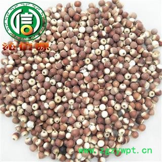 【满包邮】芡实小粒个子选货散装芡实粒广东产地直供刀芡实沁信源中药批发图4