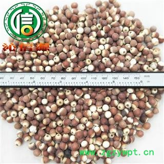 【满包邮】芡实小粒个子选货散装芡实粒广东产地直供刀芡实沁信源中药批发图2