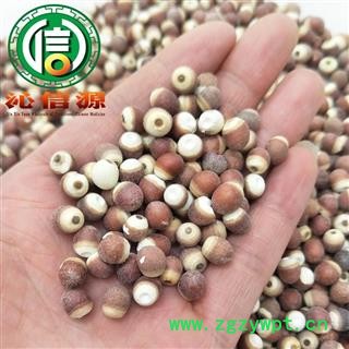 【满包邮】芡实小粒个子选货散装芡实粒广东产地直供刀芡实沁信源中药批发图3