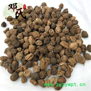 【满包邮】砂仁 阳春砂仁（ 绿砂仁 ）选货 优选品质 产地直供 邓氏尚品中药材批发图4