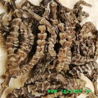 顶天柱 阳鞭劲 地参 虫草参 地龙菜 泽兰根 雪参 贵州野生苗药 泡酒料 500g图2