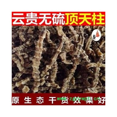 顶天柱 阳鞭劲 地参 虫草参 地龙菜 泽兰根 雪参 贵州野生苗药 泡酒料 500g