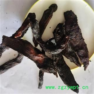 肉苁蓉 软大芸中选片1.5 产地 新疆维吾尔自治区