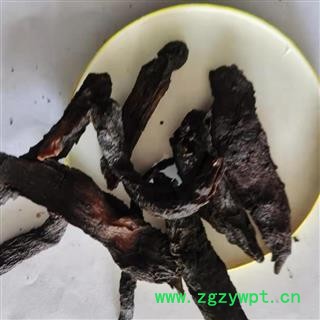 肉苁蓉 软大芸中选片1.5 产地 新疆维吾尔自治区图2