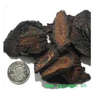 肉苁蓉 硬大芸选片3.0 产地 新疆维吾尔自治区图3