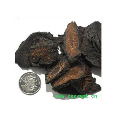 肉苁蓉 硬大芸选片3.0 产地 新疆维吾尔自治区